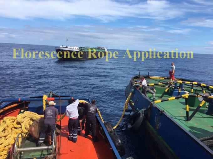 Rope d'amarrage UHMWPE à 12 brins tressés 7