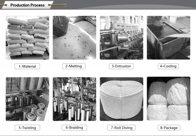 Rope d'amarrage UHMWPE à 12 brins tressés 12