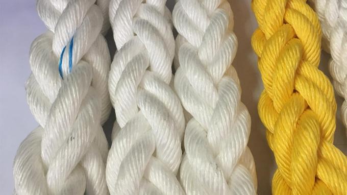 Grippe d'escalade en plastique multicolore pour enfants Parquet murale d'escalade 7