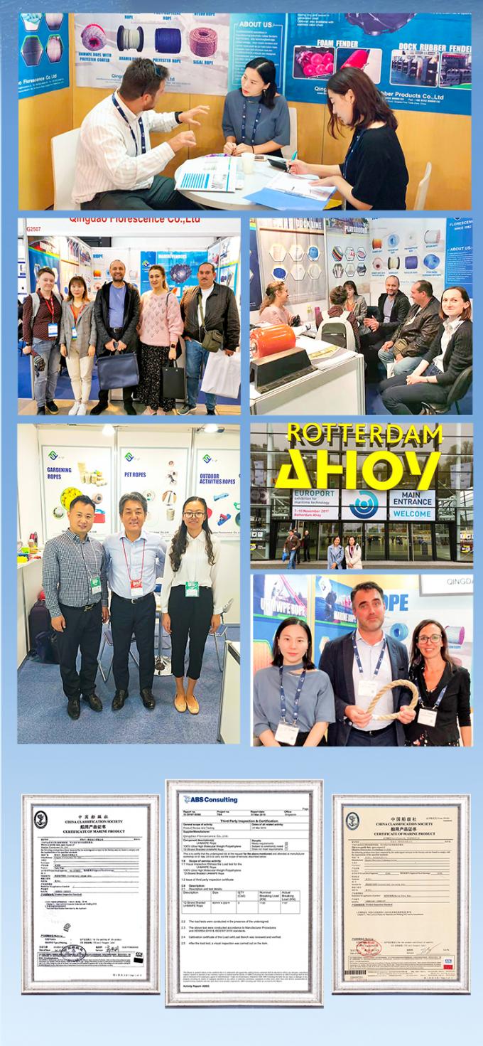 ABS approuvé 12 fils de câble UHMWPE avec couverture en polyester double tressé 32mmx500m 10