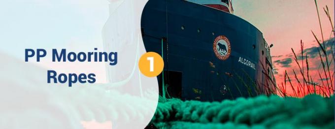 Vente en gros de 220 M de polypropylène PP blanc de haute résistance à 8 brins 68 mm 0