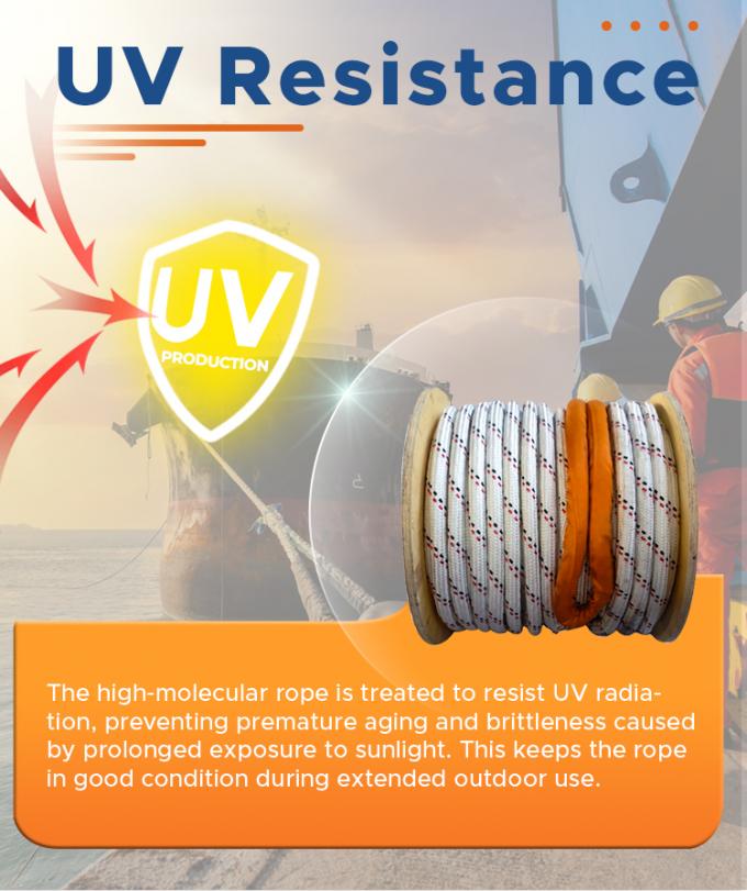 Veste en polyester double tressée haute résistance avec corde de remorquage marine Uhmwpe 6