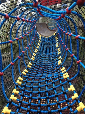 Connecteur en aluminium net s'élevant de la corde T de combinaison pour le terrain de jeu