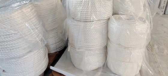 19 mmx220m 3 fils de nylon tordu corde d'ancrage marine avec une charge de rupture élevée