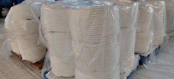 19 mmx220m 3 fils de nylon tordu corde d'ancrage marine avec une charge de rupture élevée