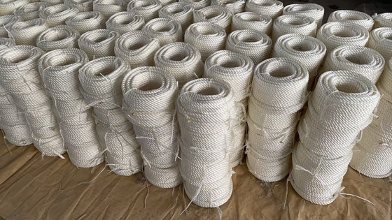 Rope en nylon à 3 brins Polyamide de qualité marine 4 mm-60 mm Noir/Blanc