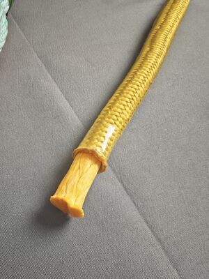 Gaine en polyester double tressage avec âme en corde UHMWPE 12 brins pour l'amarrage et l'ancrage de bateaux, avec tailles personnalisées de 4 mm à 60 mm