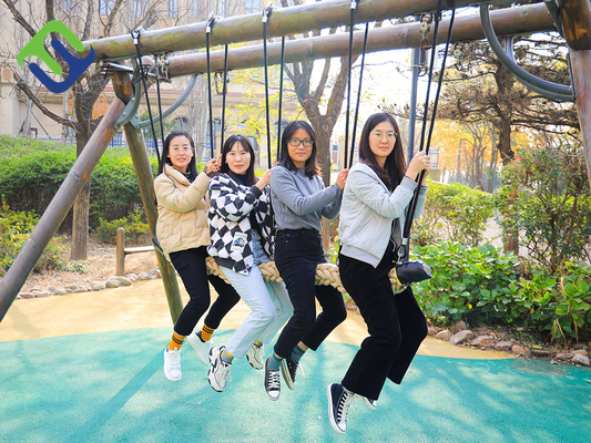 polyester tressé de brins naturels de la couleur 12 de 120mm Dia Net Playground Rope Bridge